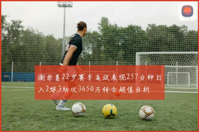 谢尔基22岁赛季高效表现257分钟打入2球3助攻3650万转会超值分析
